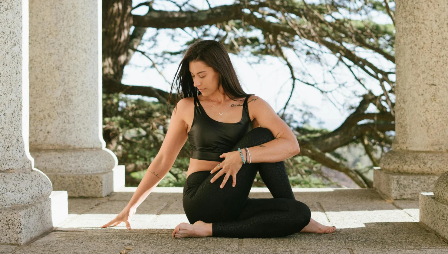 Ayurvedic wellness